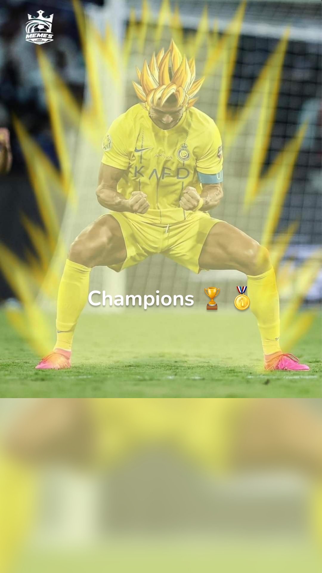 Champions 🏆 🥇 